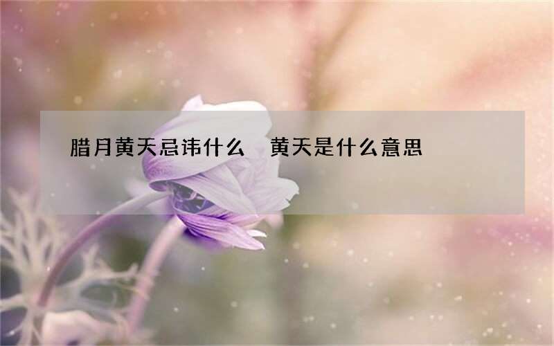 腊月黄天忌讳什么 黄天是什么意思